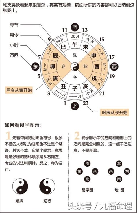 地支怎麼看|八字算命基礎——天干地支